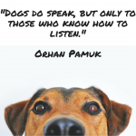 dog quote