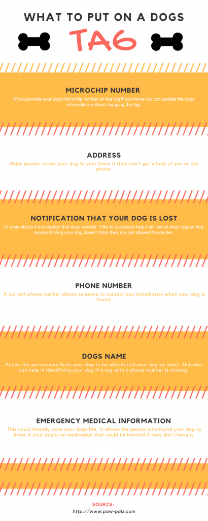 What Information To Put On A Dogs Tag