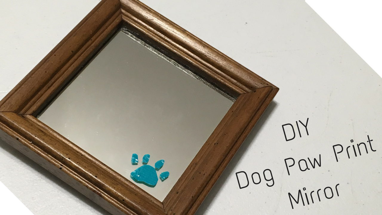 diy dog paw print mirror