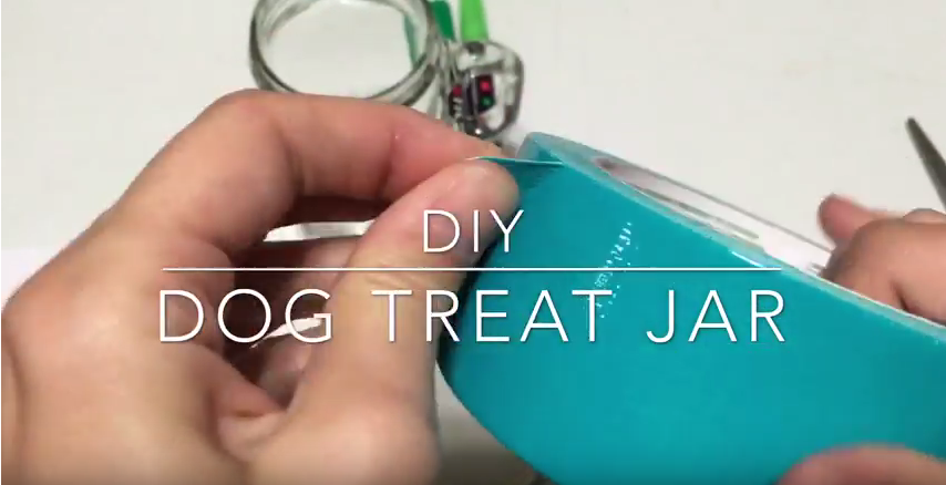 diy dog treat jar