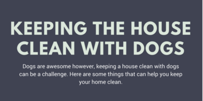 keeping house clean with dogs