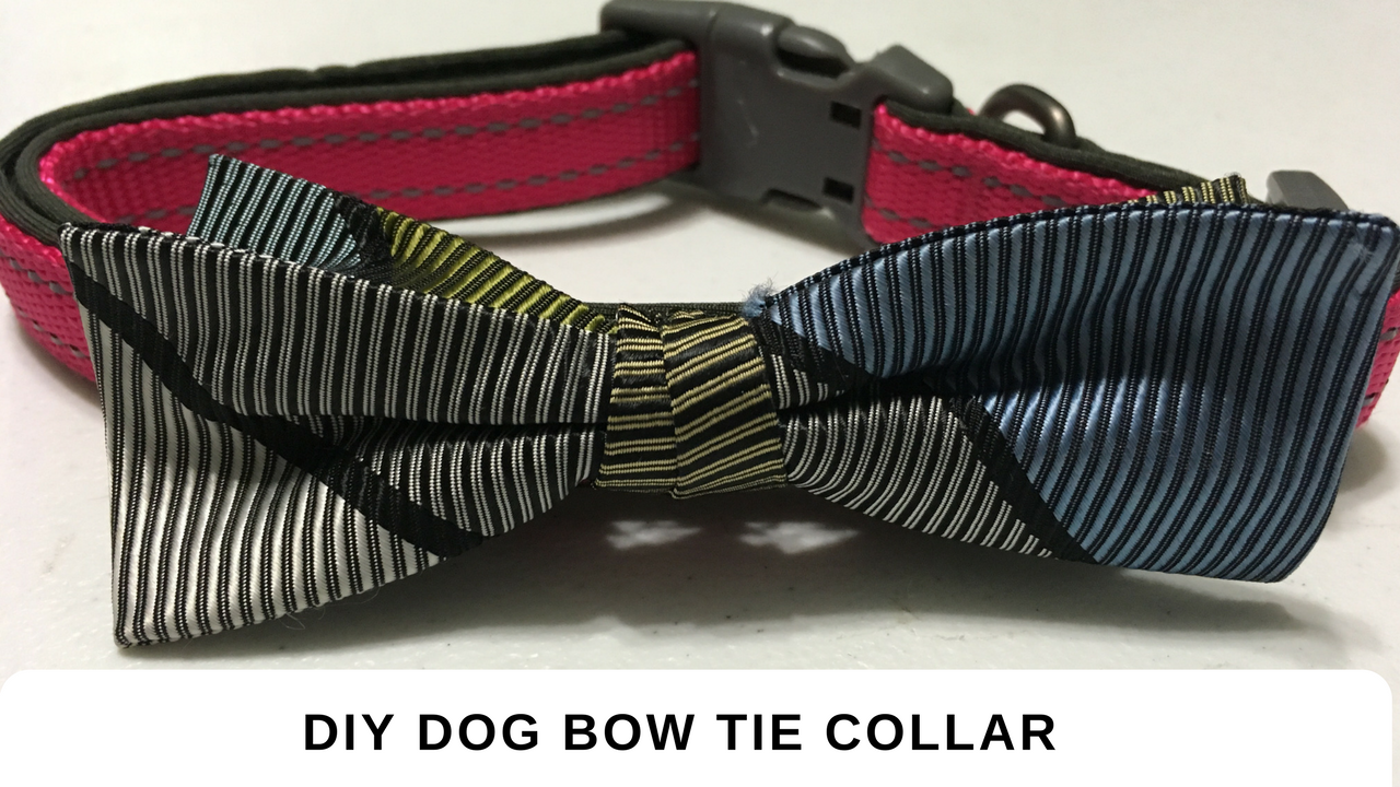 DIY Dog Bow Tie Collar