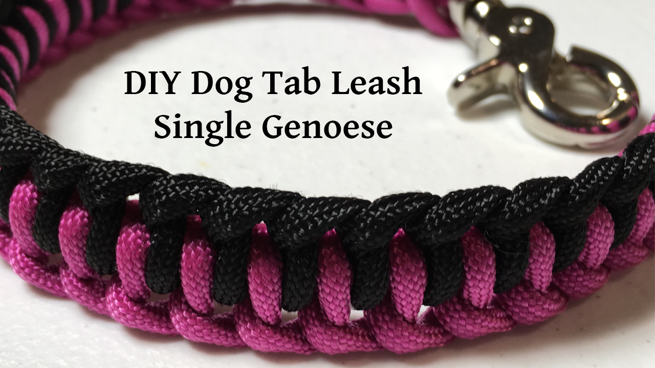 DIY Dog Tab Leash Single Genoese