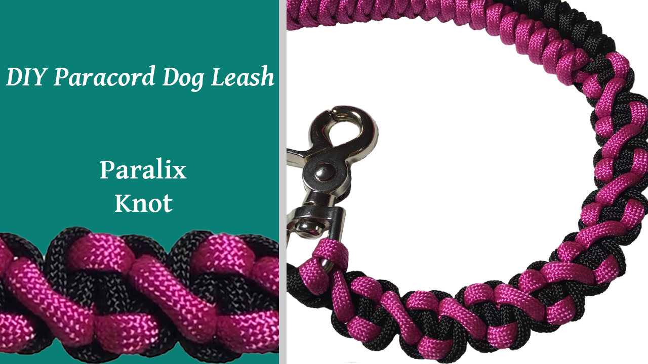 Diy dog best sale leash paracord