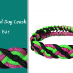 Dog Lead Celtic Bar