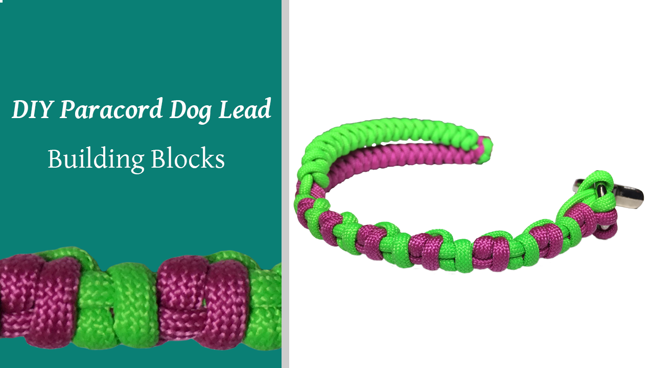 How To Dog Lead Building Blocks