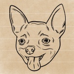 Chihuahua-face-drawing