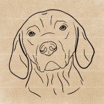 Vizsla Dog Breed Line Art