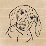 alinedrawingdachshund