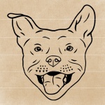 digital art line art pitbull dog