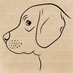 dog pictures line drawing