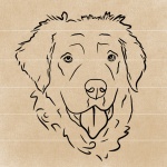 fluffy dog line art