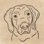 simple dog face line drawing labrador retreiver