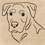 Labrador Dog Illustration