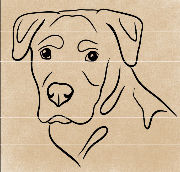 Labrador Dog Illustration