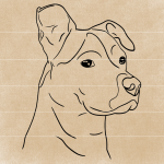 dogfacedrawing