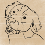 dogheaddrawing